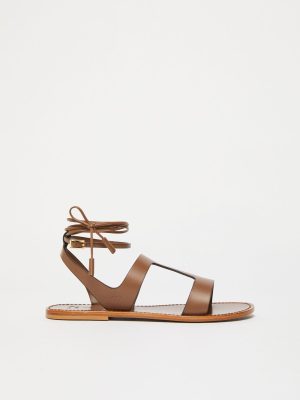 WE5521075506001-a-lemma_normal