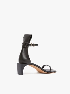 2521035206003-c-vadius_thumbnail (1)