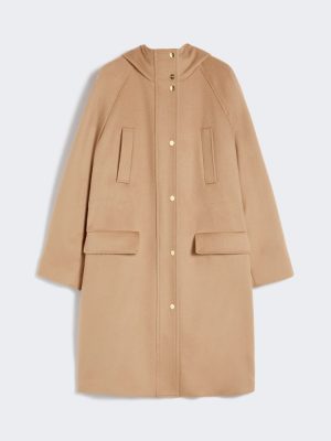 6036015206006-w-alcade_thumbnail